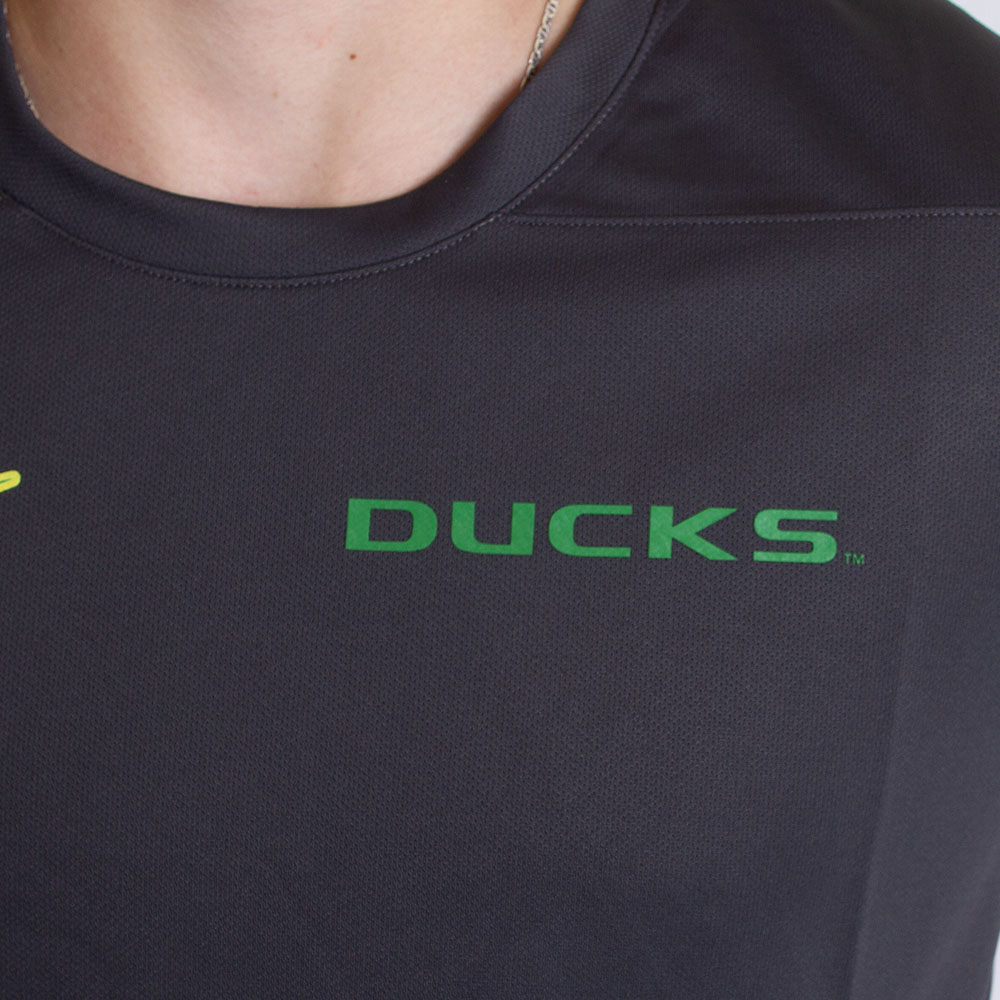 Ducks, Nike, Grey, Crew Neck, Performance/Dri-FIT, Men, Football, UV protection, Coaches, T-Shirt, 793383